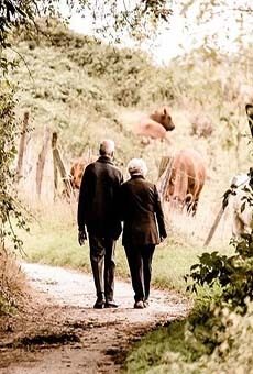 老年人保险一般买什么险种